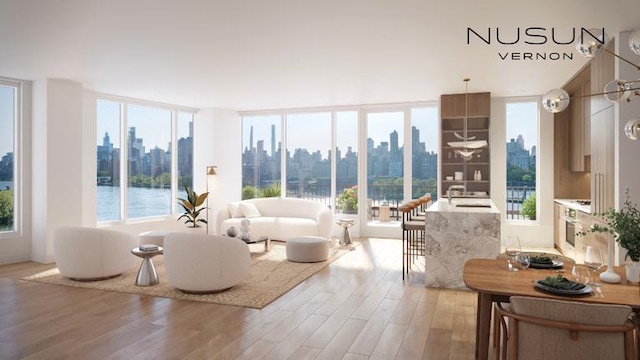 30-55 Vernon Blvd Unit 3K, New York City, NY 11102 - living room with light wood finished floors, a view of skyline, and plenty of natural light