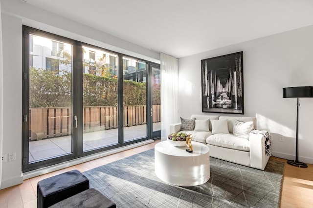 living room featuring wood-type flooring