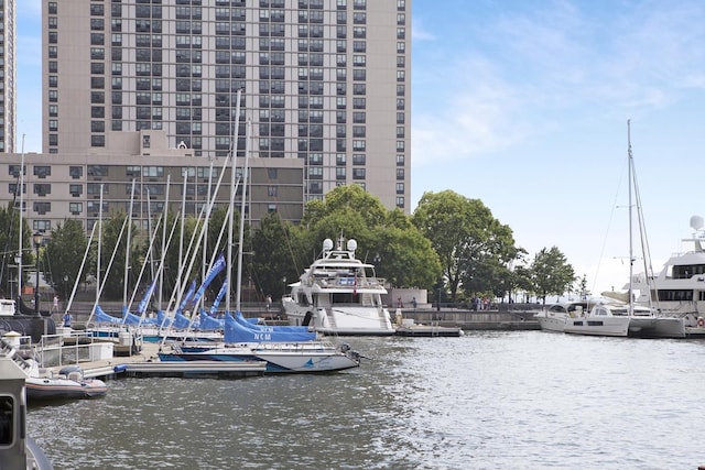 view of dock with a water view