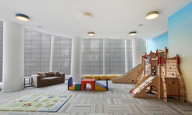 rec room with carpet