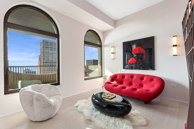 living area featuring plenty of natural light, baseboards, and wood finished floors