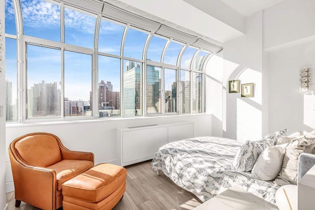 bedroom with multiple windows and light wood-type flooring