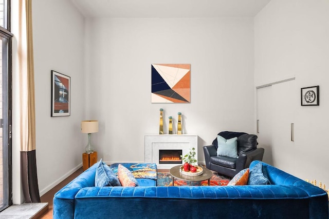 living room featuring hardwood / wood-style flooring