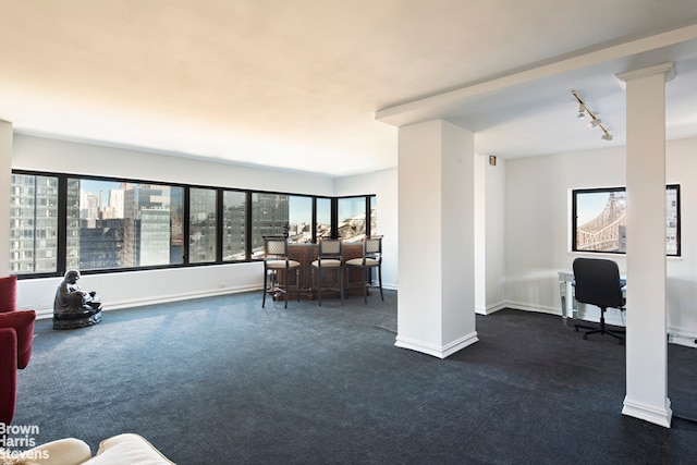 carpeted living room featuring decorative columns and rail lighting