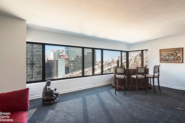 dining area with dark colored carpet