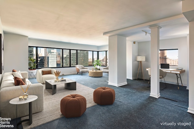 living room featuring decorative columns and carpet