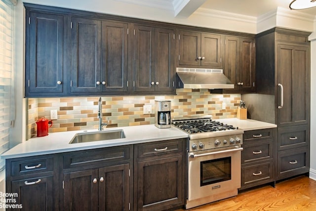 kitchen featuring crown molding, a sink, stainless steel stove, and under cabinet range hood