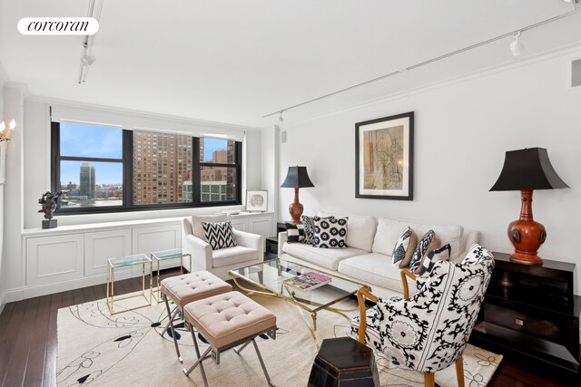 340 E 93rd St Unit 17Hi, New York City, NY 10128 - living area featuring rail lighting, wood-type flooring, and a view of city
