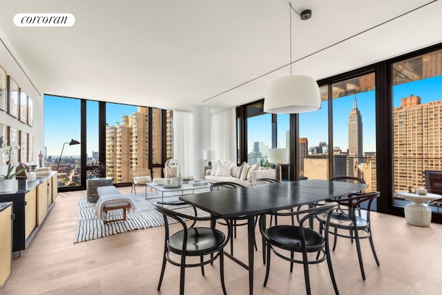 dining area with a wall of windows and light hardwood / wood-style floors