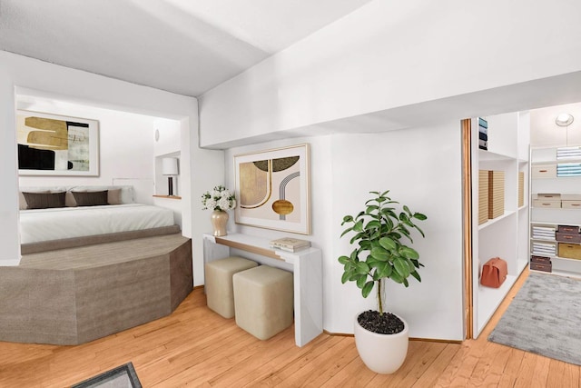 bedroom with wood-type flooring
