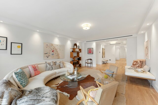 living room with light hardwood / wood-style floors