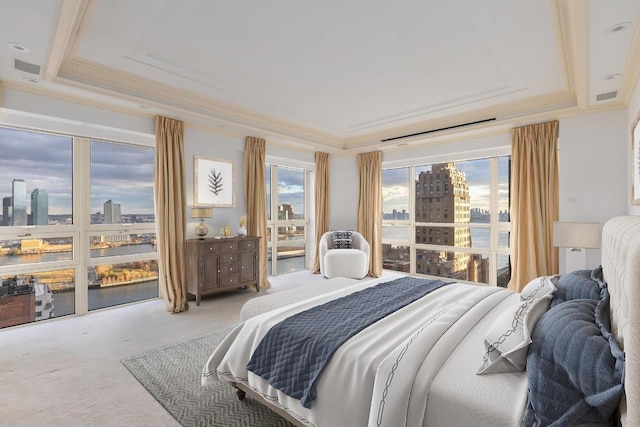 carpeted bedroom with ornamental molding and a raised ceiling