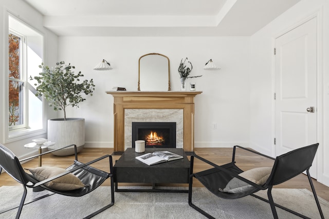 living area with baseboards, wood finished floors, and a high end fireplace