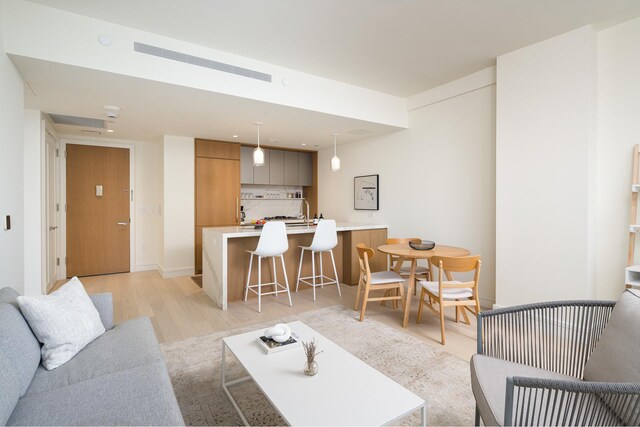 200 E 20th St Unit 3A, New York City, NY 10003 - living area with light wood-style flooring
