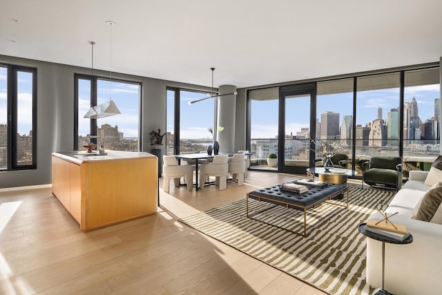 living area featuring light wood-type flooring, a view of city, and floor to ceiling windows