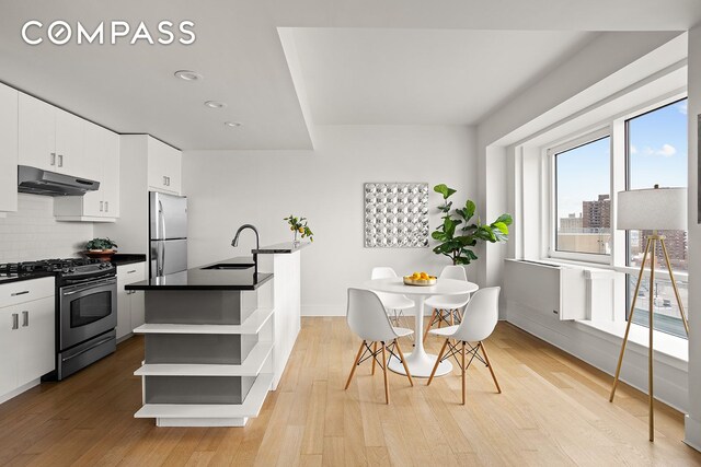 440 Kent Ave Unit 18F, New York City, NY 11249 - kitchen featuring appliances with stainless steel finishes, open shelves, under cabinet range hood, a sink, and dark countertops