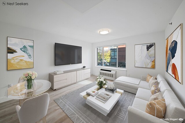 47-05 5th St Unit 203, New York City, NY 11101 - living room with light wood-type flooring and a wall mounted AC