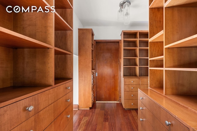 spacious closet with dark wood finished floors