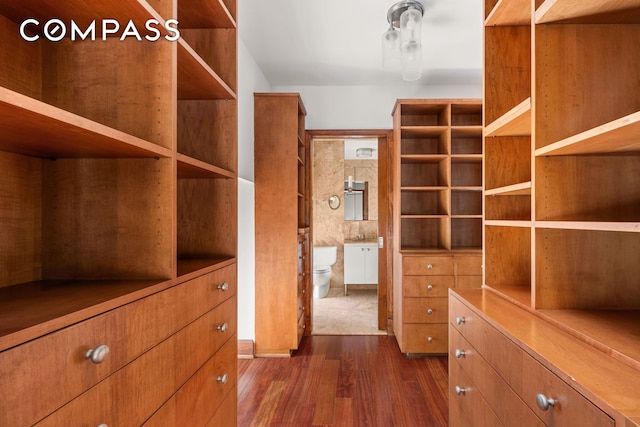 spacious closet featuring dark wood-type flooring