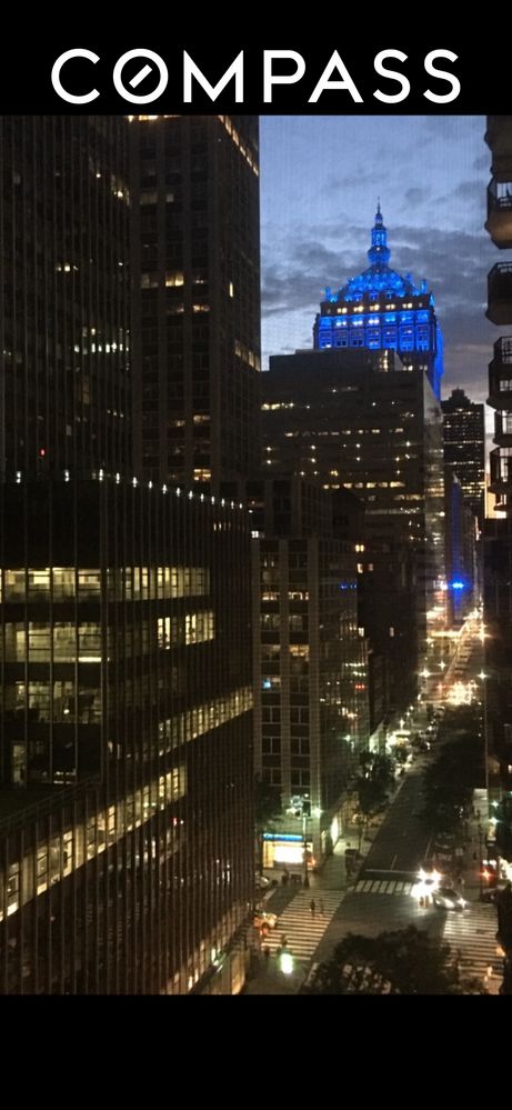 225 E 46th St Unit 12G, New York City, NY 10017 - view of city with a view of city lights