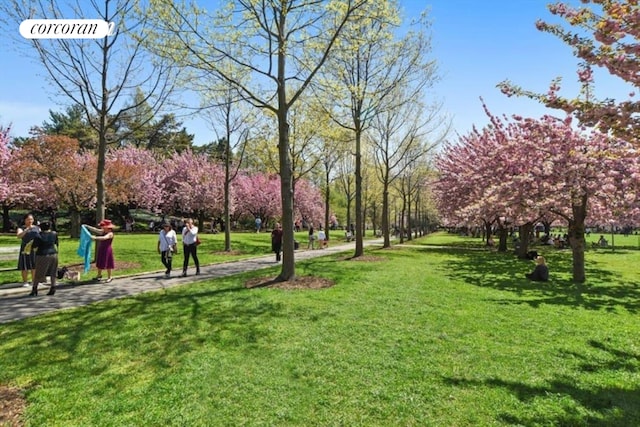 view of home's community with a lawn