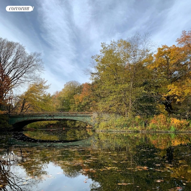 water view with a forest view