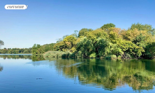 property view of water with a wooded view