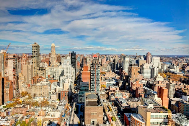 303 E 57th St Unit 46E, New York City, NY 10022 - view of city