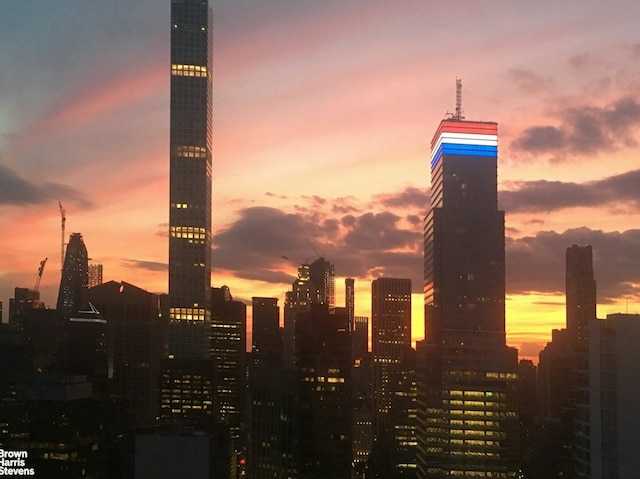 303 E 57th St Unit 46E, New York City, NY 10022 - view of city skyline