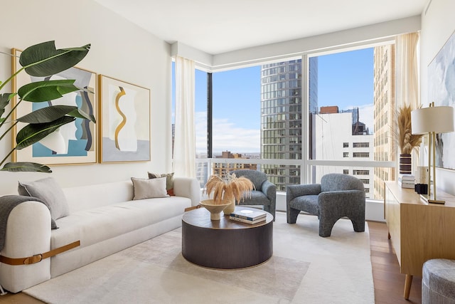 living room featuring a city view and wood finished floors