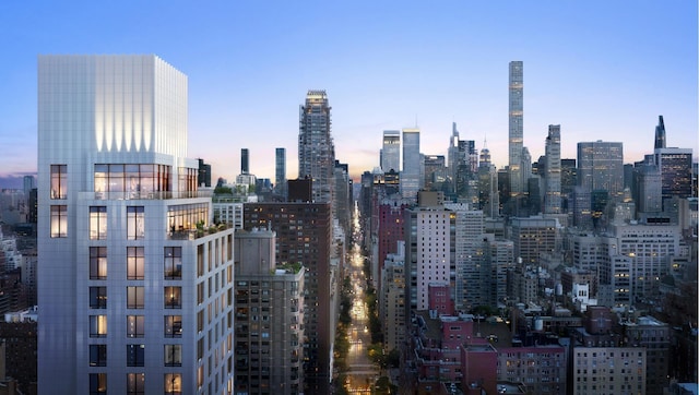 201 E 74th St Unit 2A, New York City, NY 10021 - view of city skyline