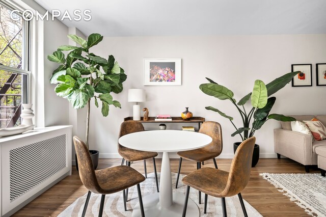 living area featuring hardwood / wood-style flooring and radiator