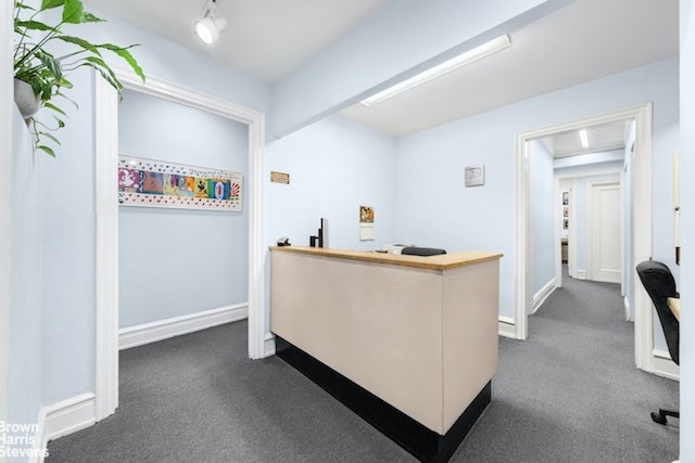 carpeted office with rail lighting