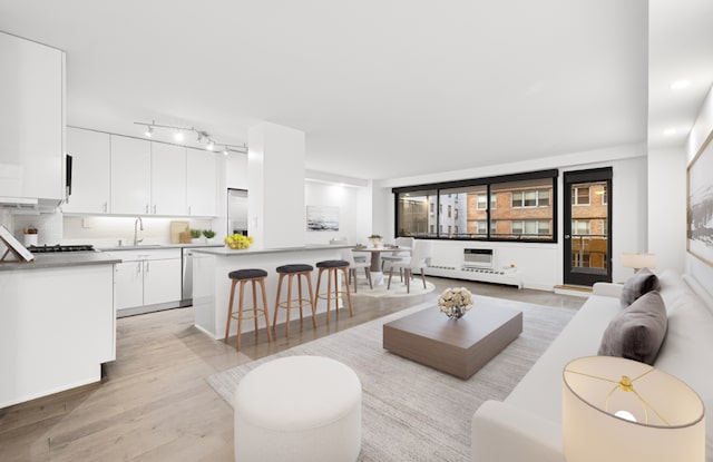 living room featuring light hardwood / wood-style floors and sink