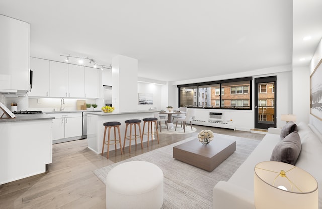 16 W 16th St Unit 8Rs, New York City, NY 10011 - living area featuring light wood-type flooring and track lighting
