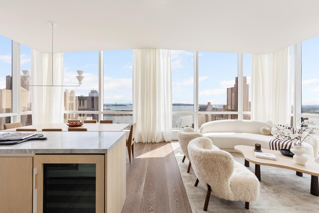 sunroom with wine cooler