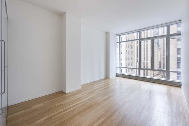 empty room featuring a wall of windows and light hardwood / wood-style flooring