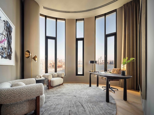 sitting room featuring a city view, wood finished floors, and expansive windows