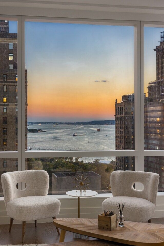 sitting room featuring a water view, a wealth of natural light, and a city view