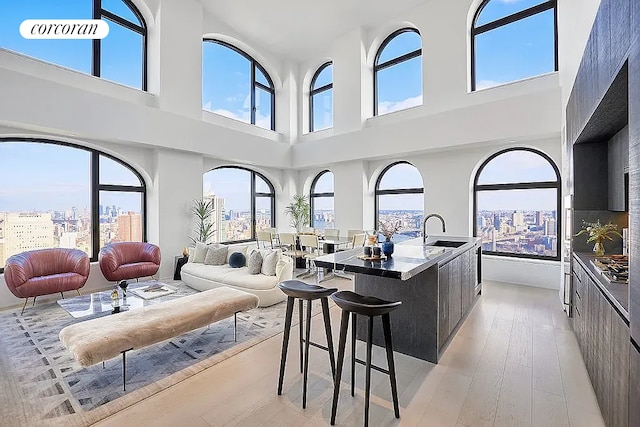 130 William St Unit 46A, New York City, NY 10038 - living area featuring healthy amount of natural light, light wood-style flooring, a view of city, and a high ceiling
