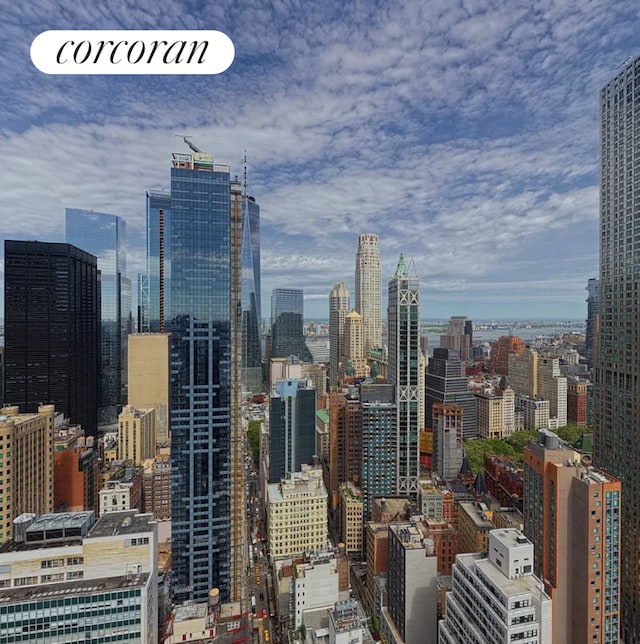 130 William St Unit 46A, New York City, NY 10038 - skyline view