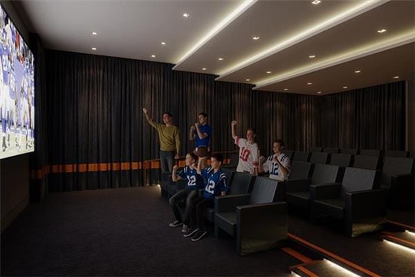 home theater room featuring carpet flooring