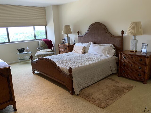 carpeted bedroom with track lighting