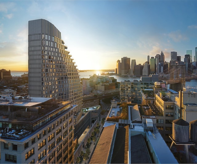 30 Front St Unit 28B, New York City, NY 11201 - skyline view