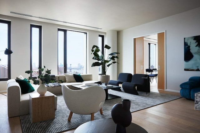 living room with hardwood / wood-style flooring