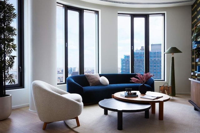 living room with light hardwood / wood-style flooring and plenty of natural light