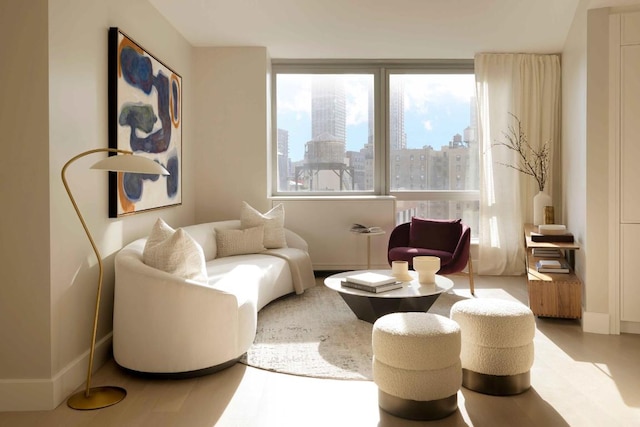 sitting room featuring a wealth of natural light