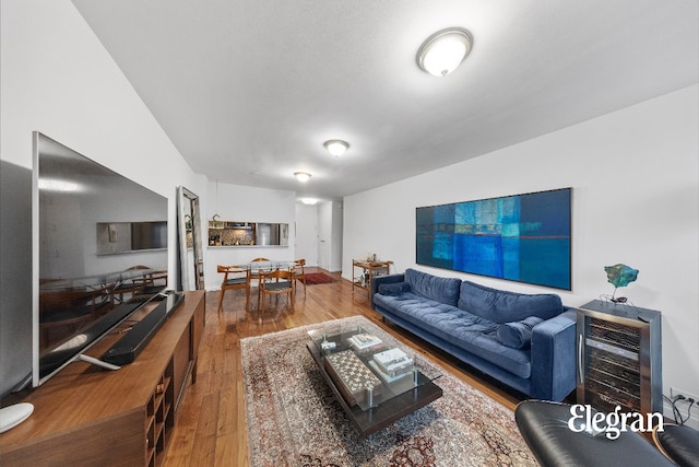 living room featuring hardwood / wood-style flooring