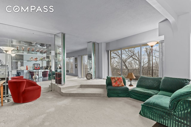 carpeted living area featuring a textured ceiling