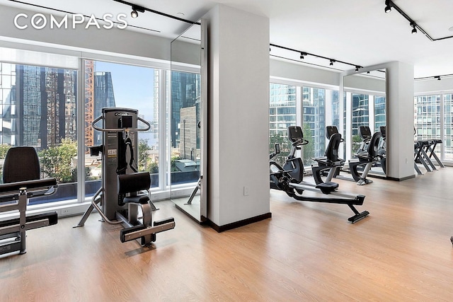 gym with a city view, wood finished floors, rail lighting, and a healthy amount of sunlight